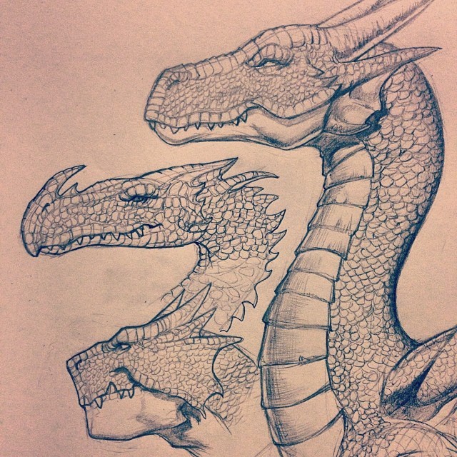640x640 Drawing Basic Dragons In My Sketchbook For How To Draw 101