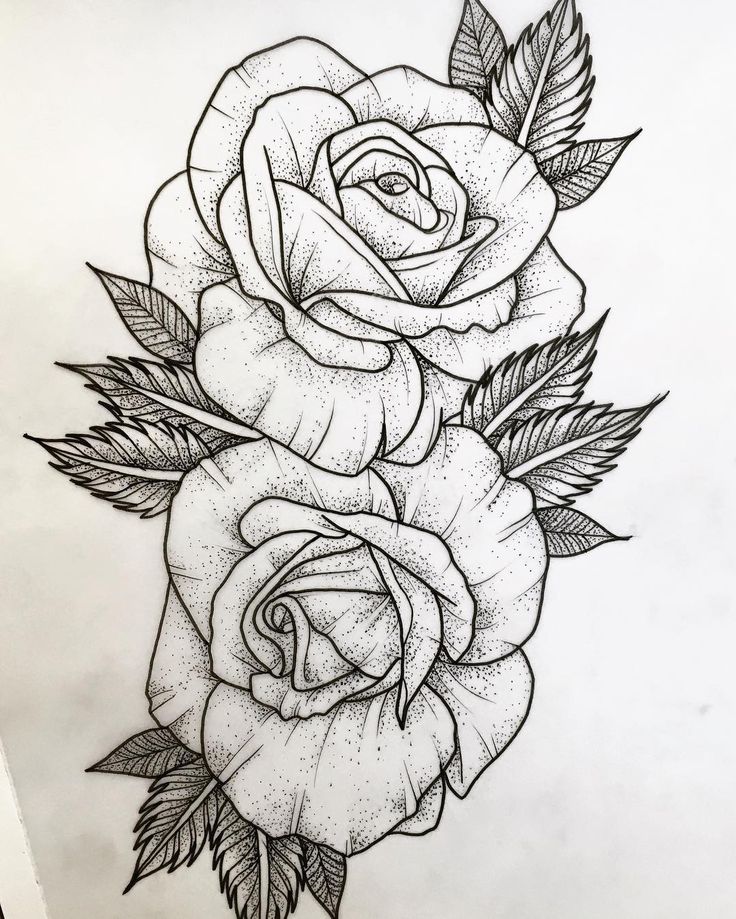 736x919 Gallery Roses In Drawing,