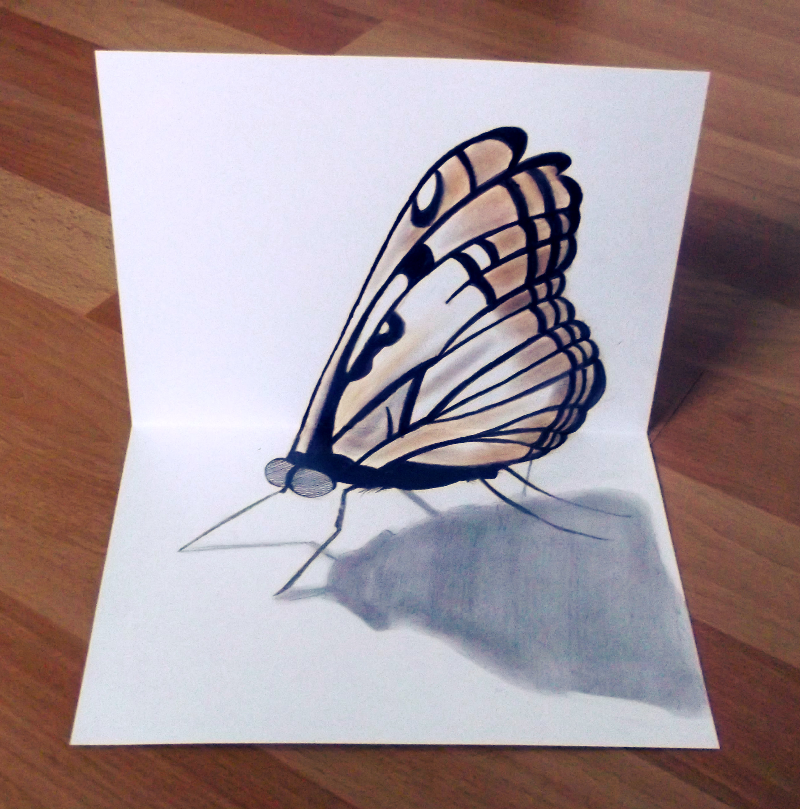 2592x2620 3d Butterfly My Portraits Amp Drawings 3d, Drawings