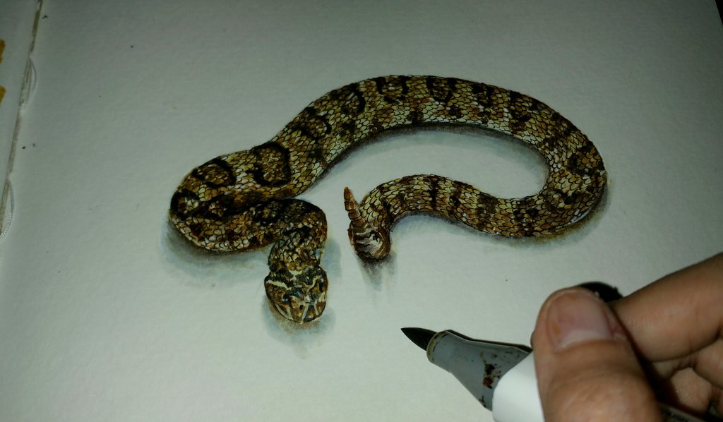 1024x598 Snake 3d Drawing By Primecullen