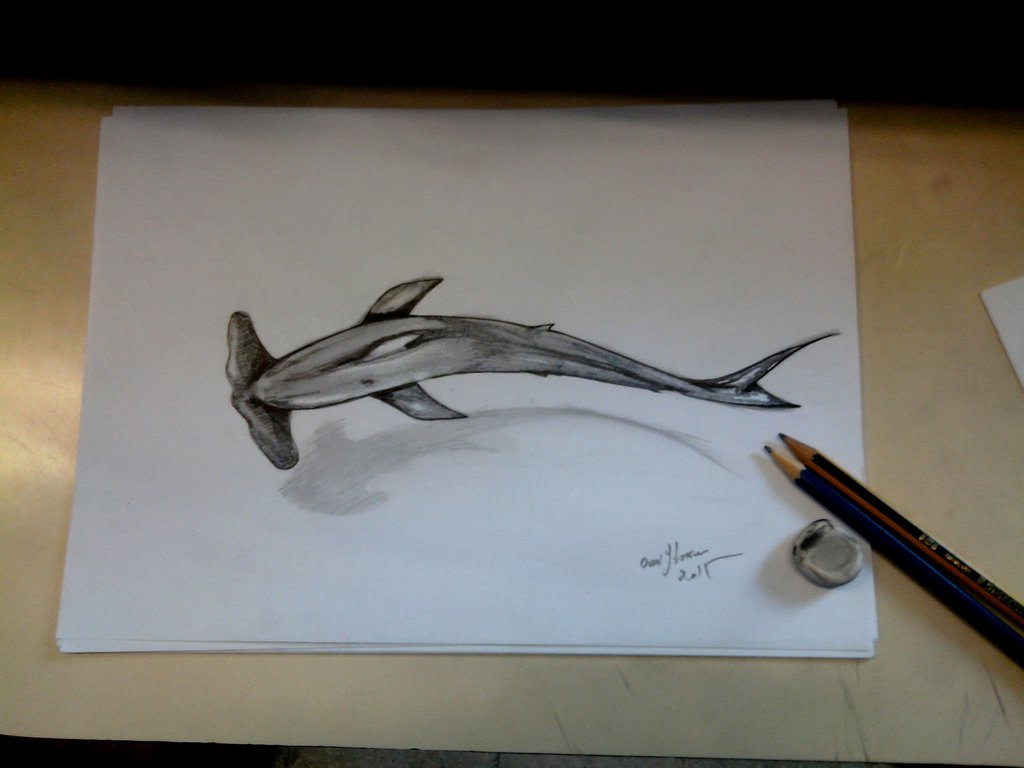 1024x768 3d Fish Drawing 3d Hammerhead Shark Swimmingghassen Ouni