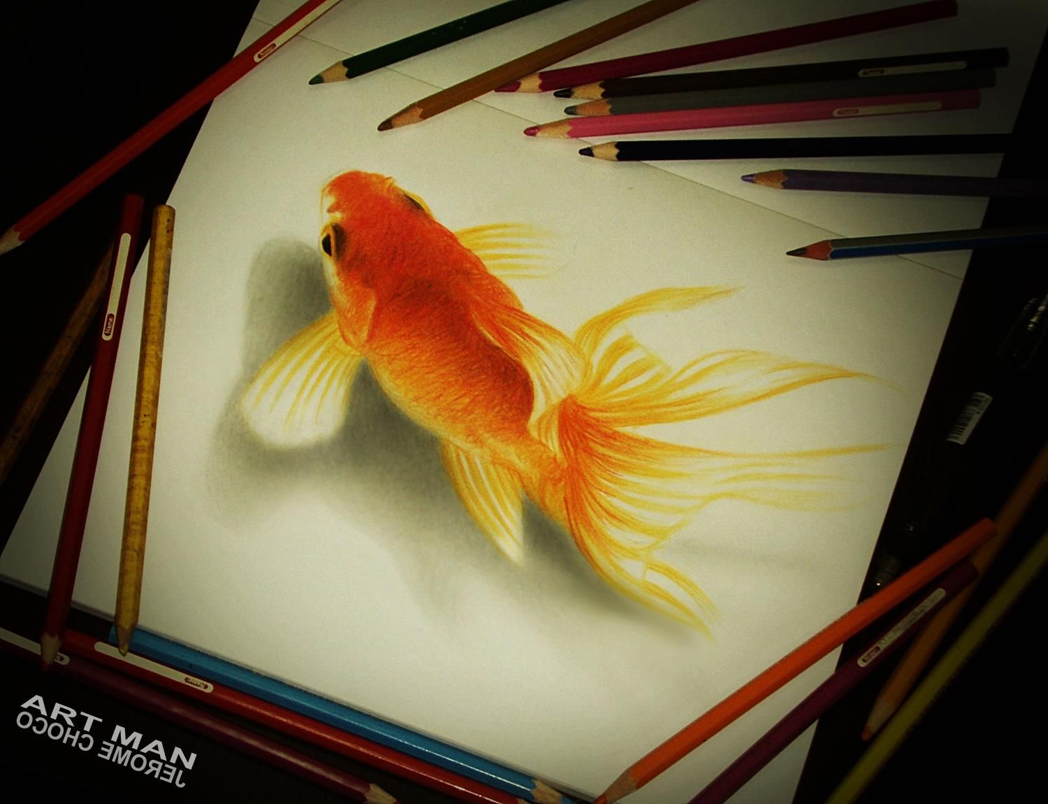 1500x1150 3d Gold Fish By Art Man Choco Philippines