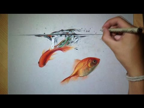 480x360 Fun Drawing Goldfish In Water !