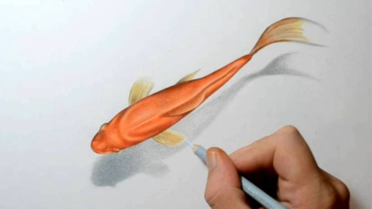 1280x720 How To Draw A Goldfish