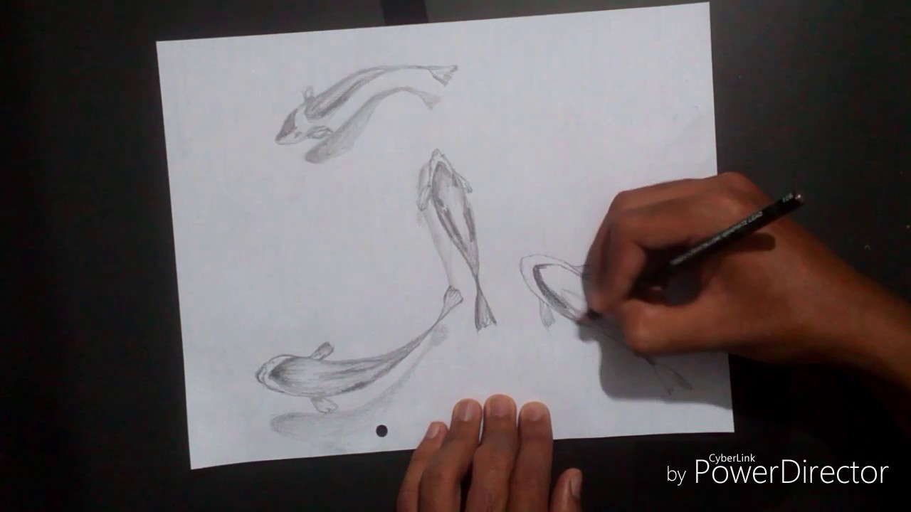1280x720 How To Draw 3d Fish Sketch Very Easily
