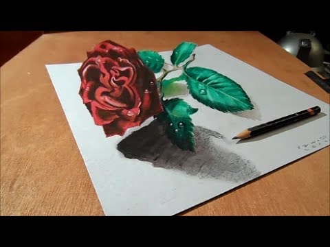 480x360 How To Draw Rose