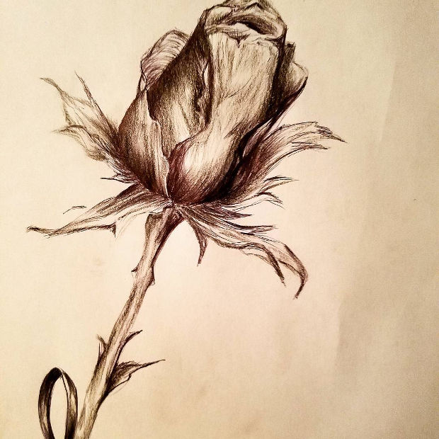 620x620 3d Drawings , Art Ideas Design Trends