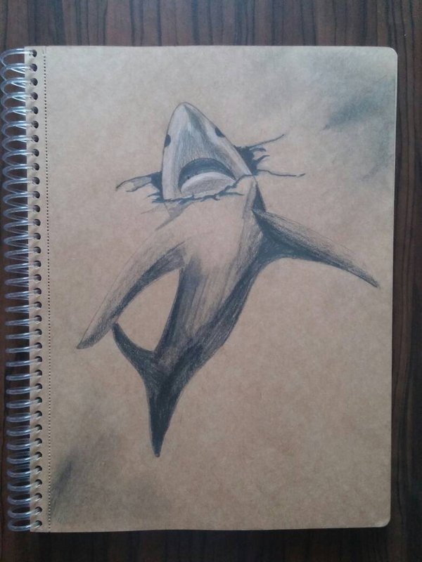 600x800 3d Shark Drawing By Suay770