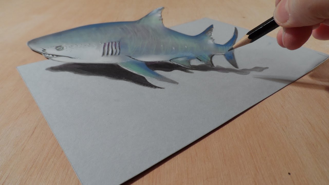 1281x721 Drawing A 3d Gray Shark, Trick Art Amp Amazing Animals
