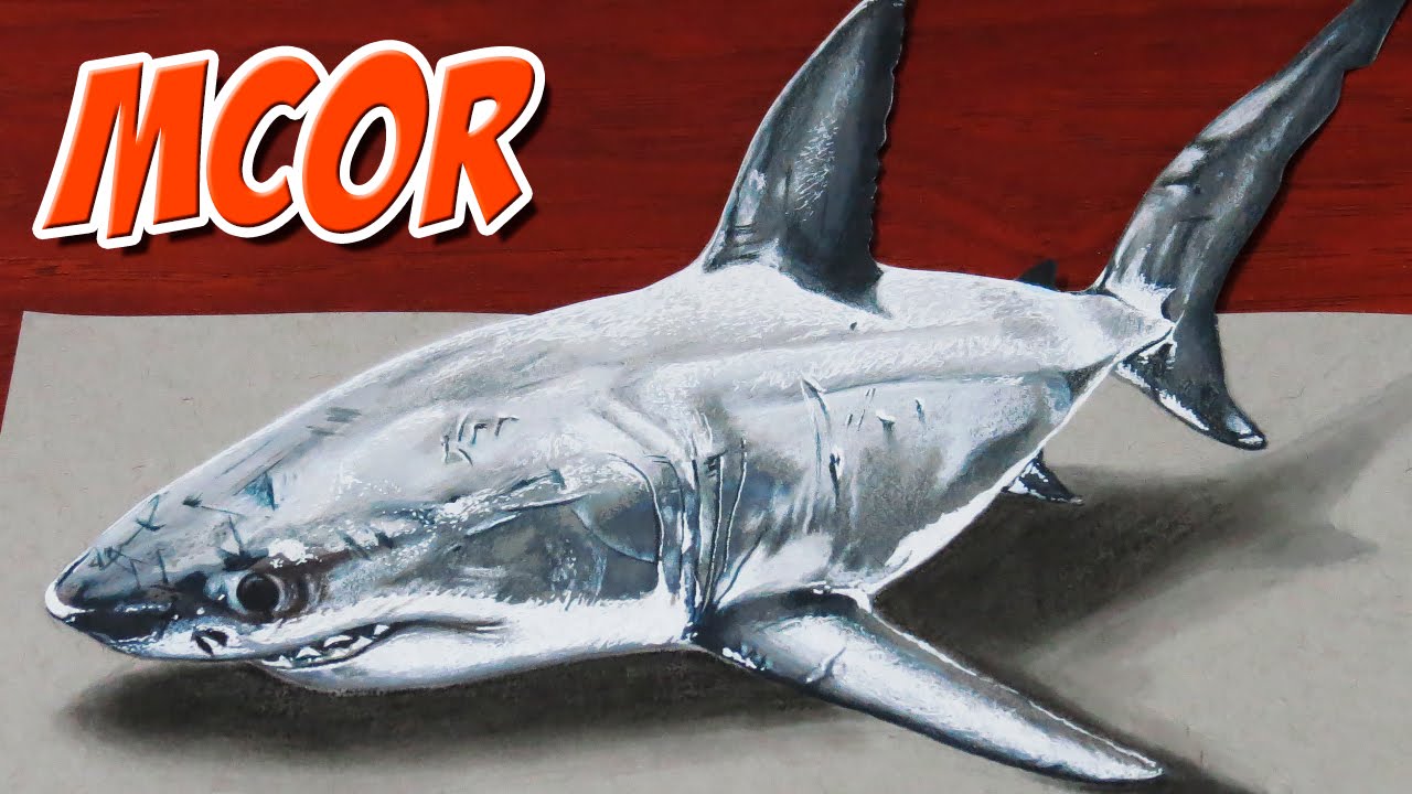1280x720 Drawing A 3d Shark