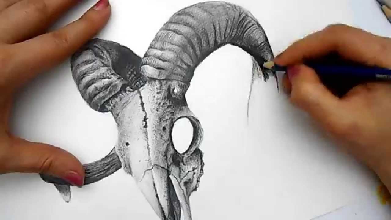 1280x720 3d Skull Drawing