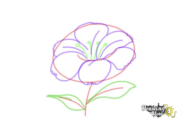 600x400 How To Draw A Flower Step By Step