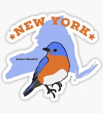 210x230 50 States Drawing Stickers Redbubble