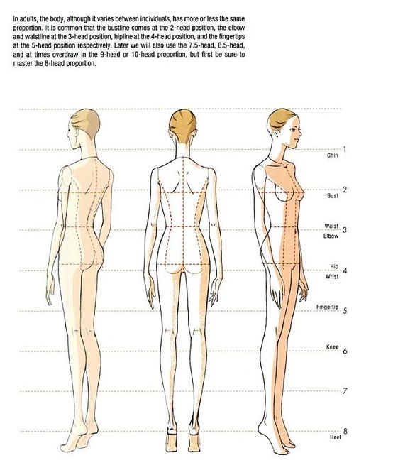 554x662 Body Drawing In 8 Head