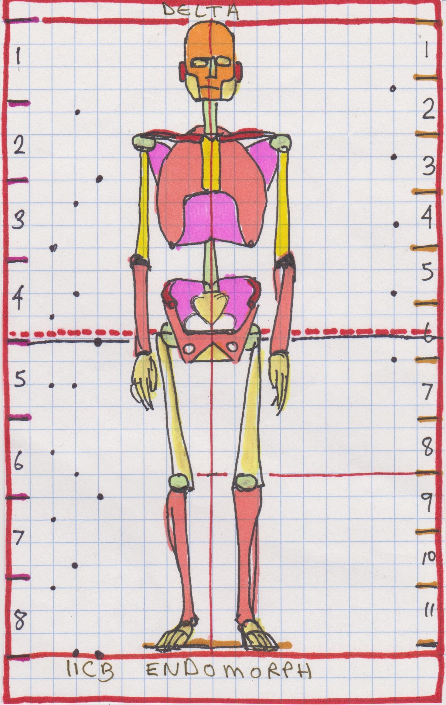 1469x2319 Skedidle Near 8 Head Figure Endomorphic Scale 11 Unit Cranial Box