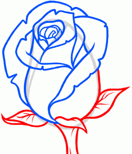 260x302 How To Draw A Rose Bud, Rose Bud, Step By Step, Flowers, Pop