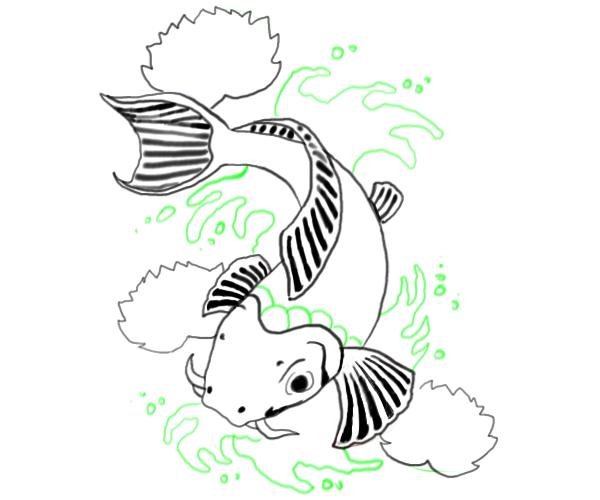600x500 Koi Fish Drawings