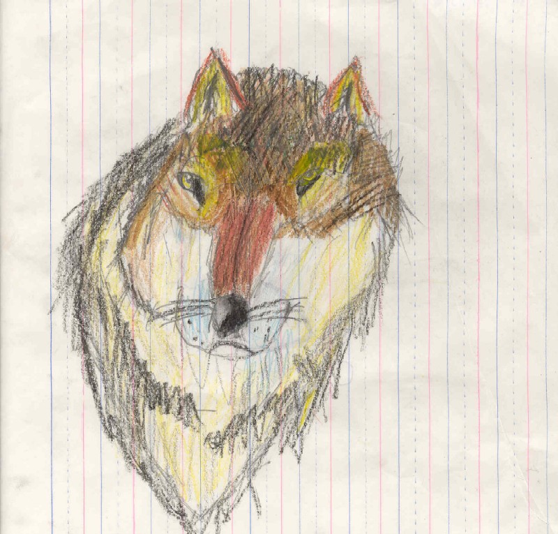 800x765 Boy Wolf