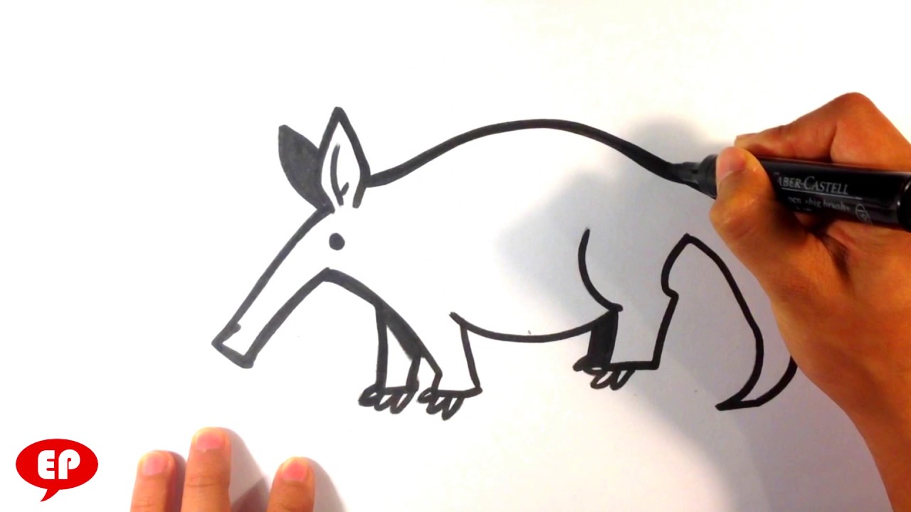 1280x720 How To Draw An Aardvark (Cute)