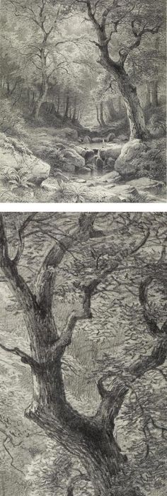 236x700 Landscape Drawings In Coloured Pencil Pencil Drawing