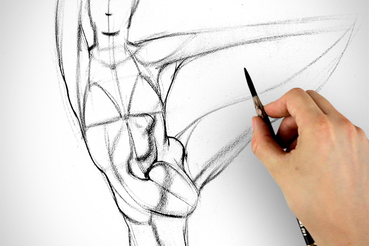 720x480 How To Draw Abs