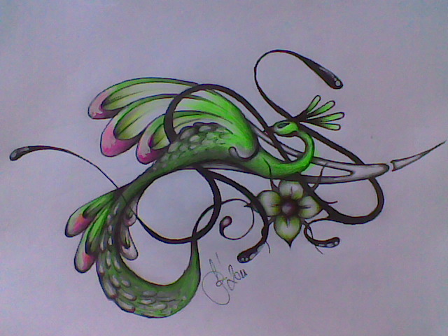 640x480 Hand Drawing Bird Tatto 2011 By Systemofdagobah