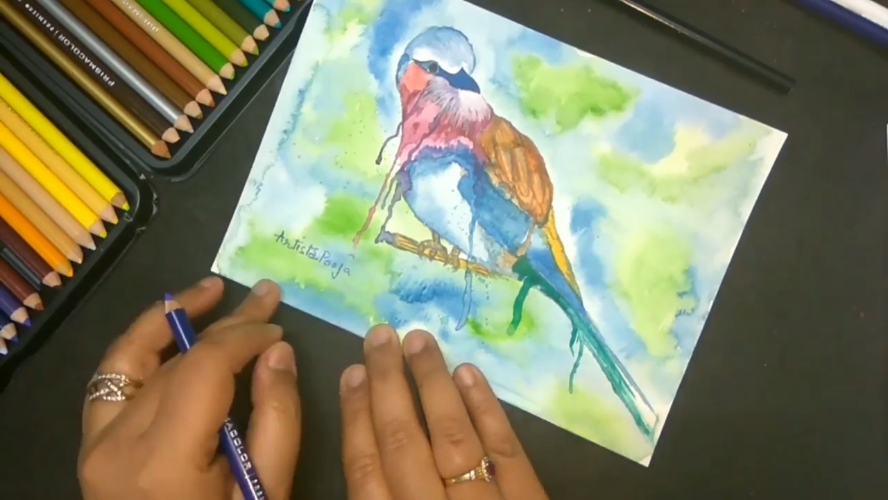 1280x720 How To Draw Abstract Bird In Watercolor