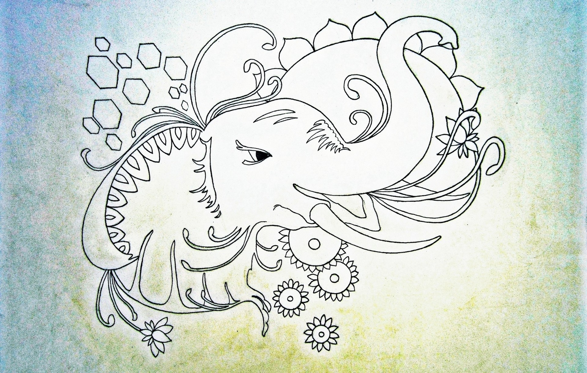 1920x1222 Working On The Illustration Some Sketches