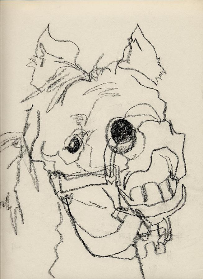 653x900 Squiggle Horse Smile Drawing By Ruthie Ferrone