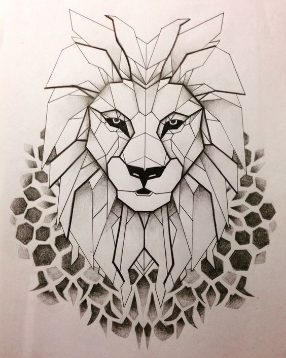 564x705 Lion Abstract Drawing