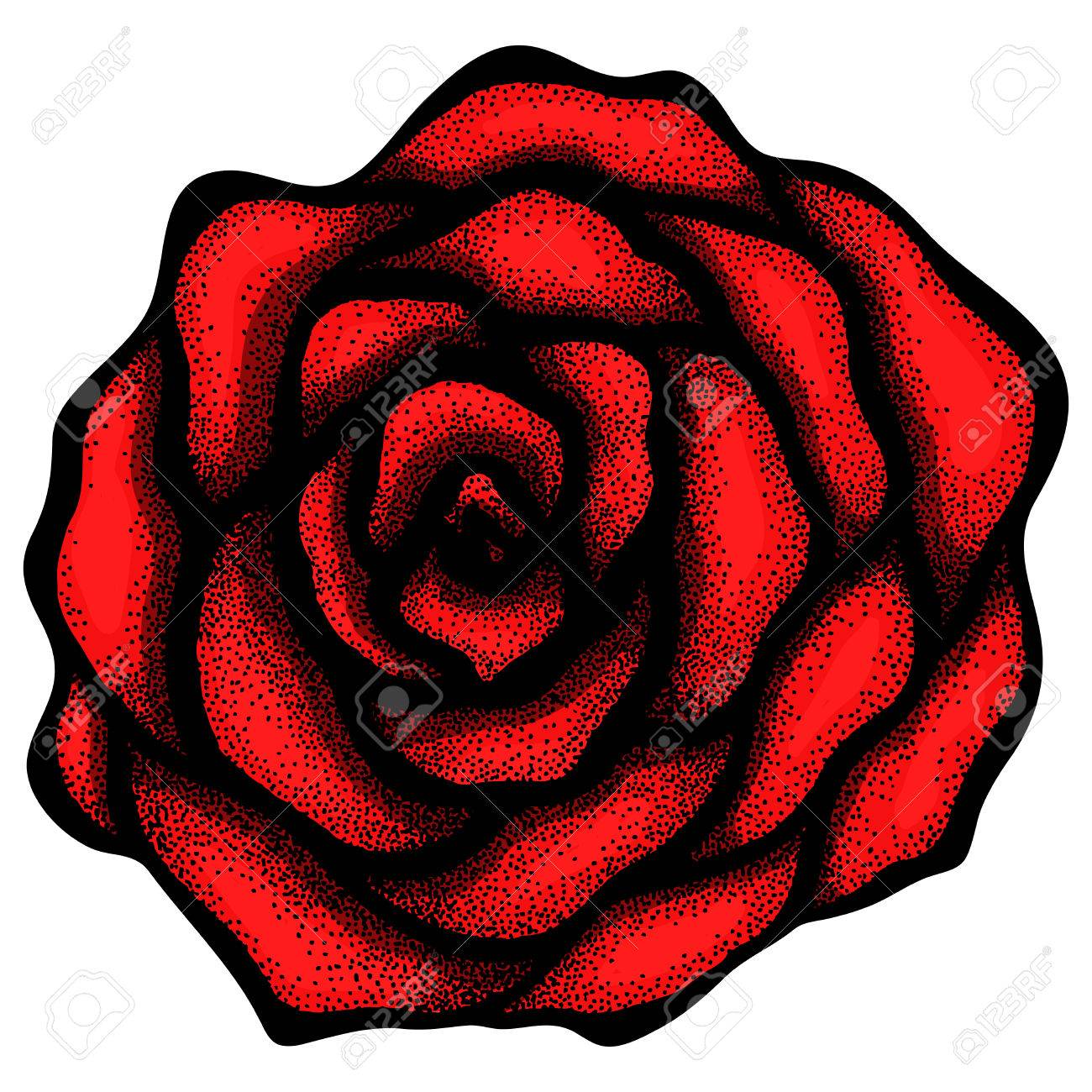 1300x1300 Abstract Rose Free Hand Drawing In A Graphic Style Points
