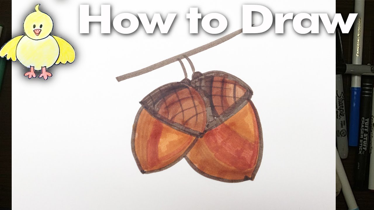 1280x720 How To Draw Easy Acorns