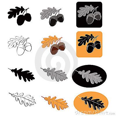 400x400 Oak Leaf And Acorns In Various Drawing Styles Business Graphics
