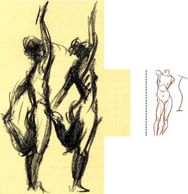 785x812 The Line Of Action Or Strength