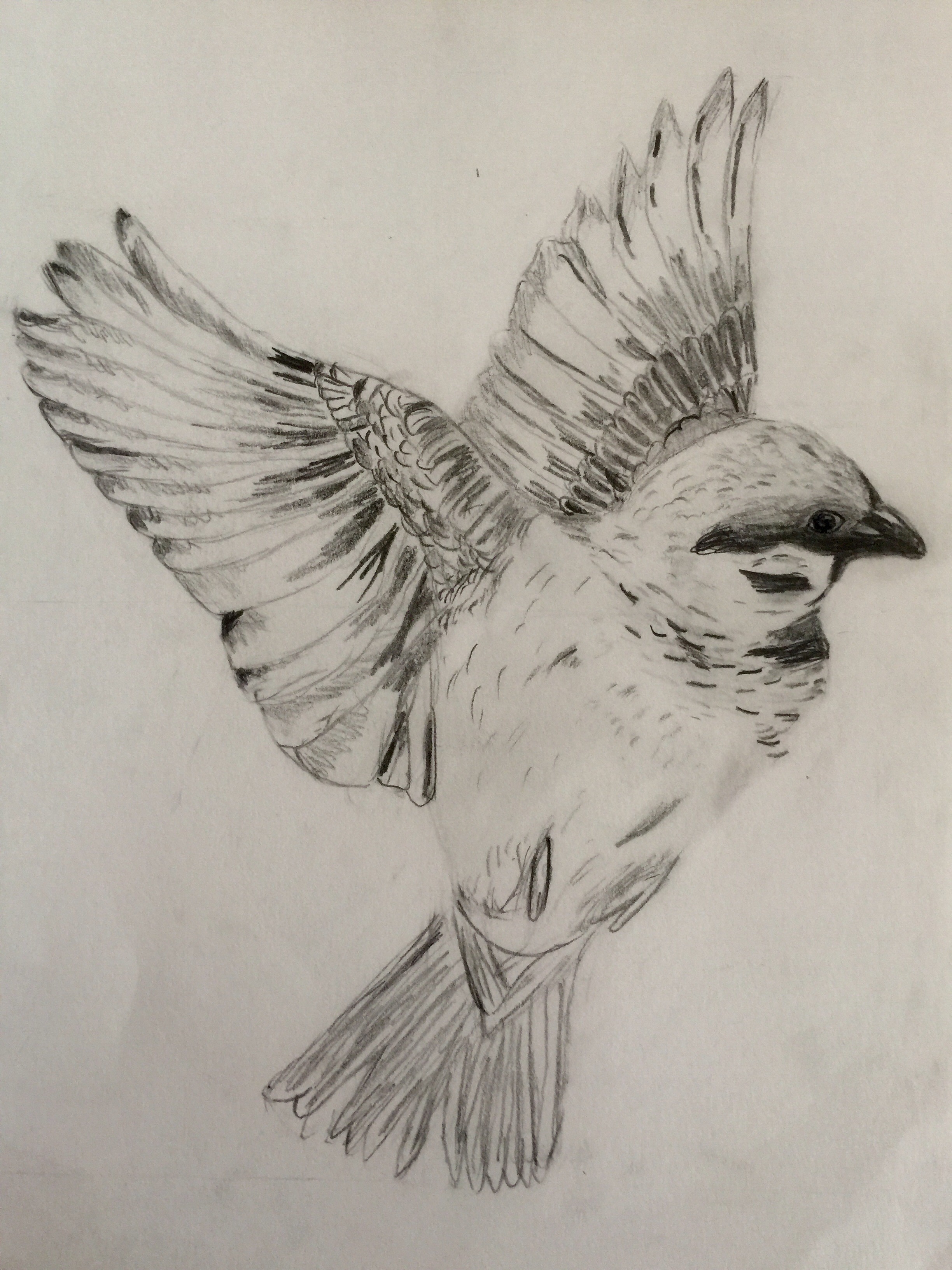 2448x3264 Art Amp Drawing Classes Art Classes For Kids Terenure