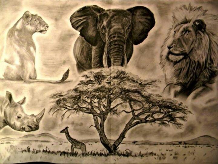 720x540 My Africa Drawing Black Art Drawings