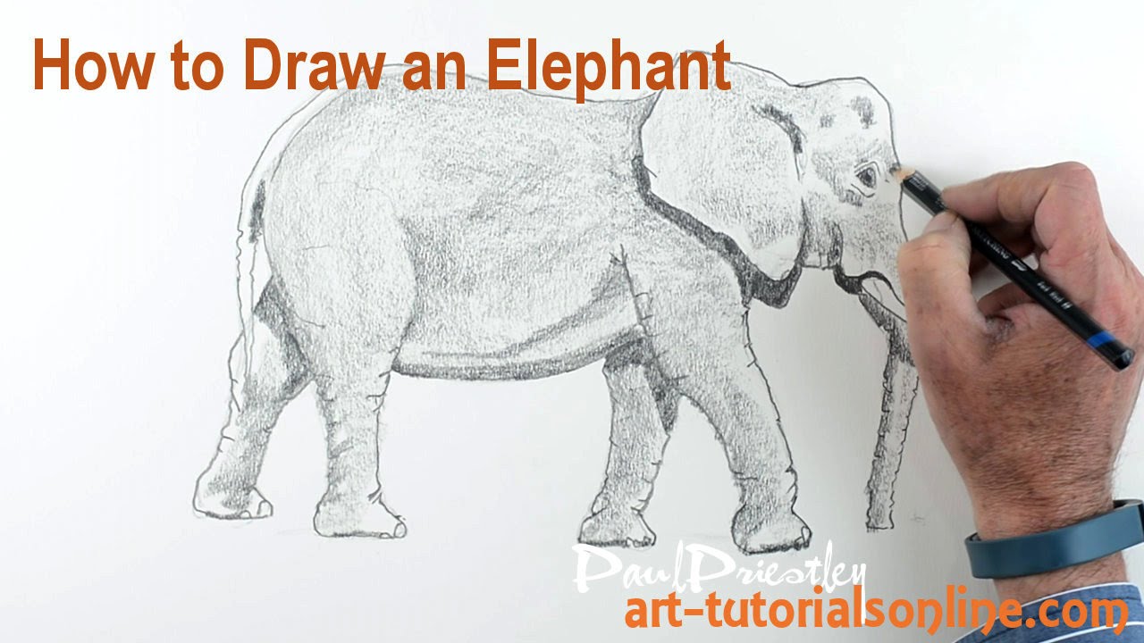 1280x720 How To Draw An Elephant