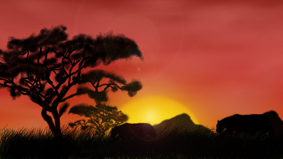 900x506 African Sunset By Sclarke1991
