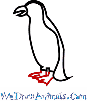 300x350 How To Draw An African Penguin
