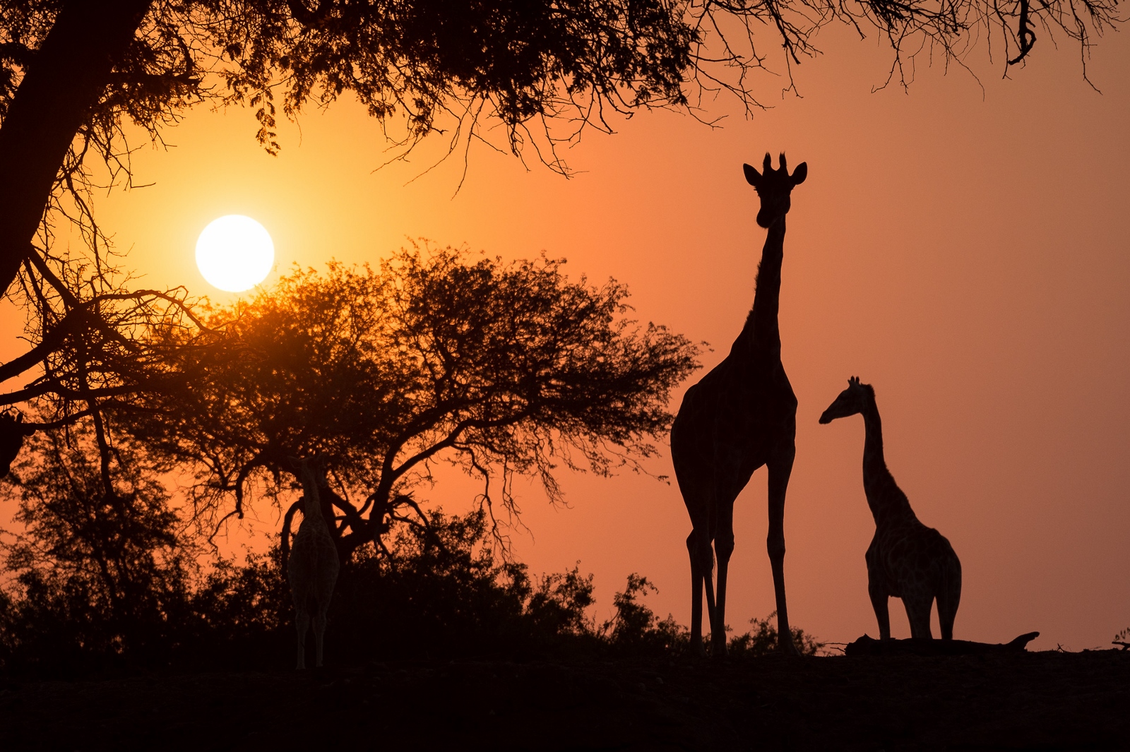 1600x1065 Travel Beyond Luxury Safaris And Custom Travel Planning