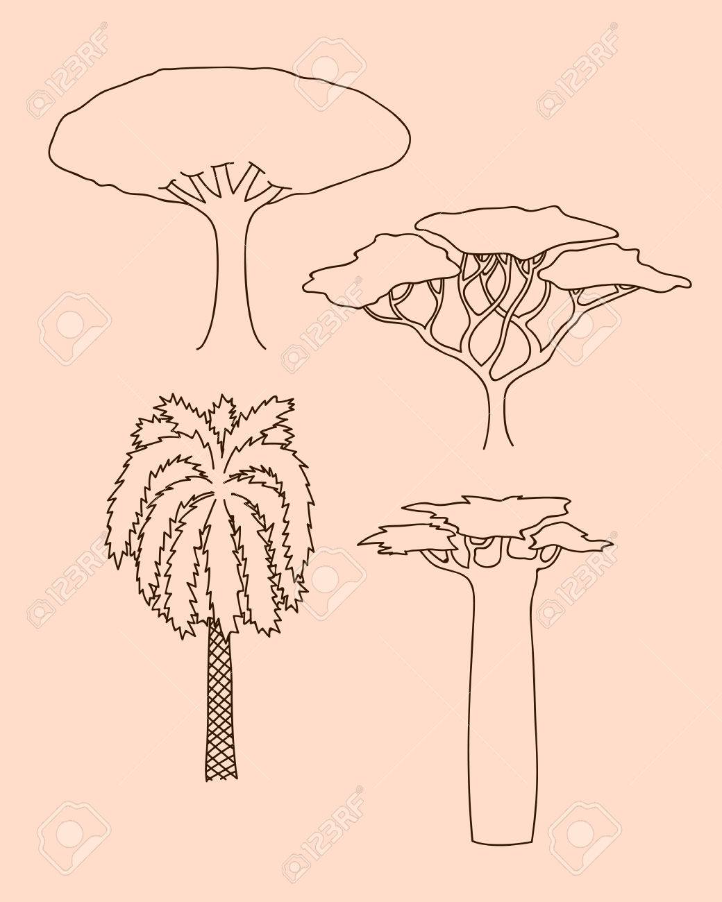 1040x1300 Vector Floral Hand Drawn African Trees