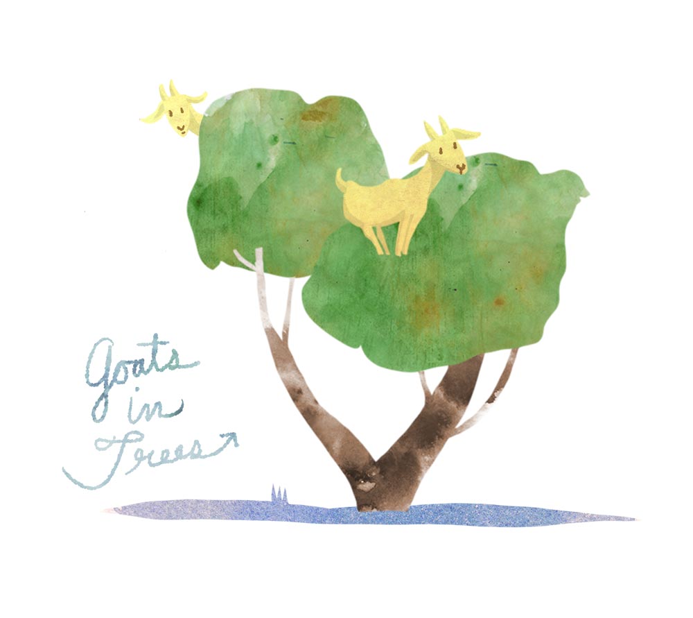 1000x891 Goats In Trees Bobbledy Books