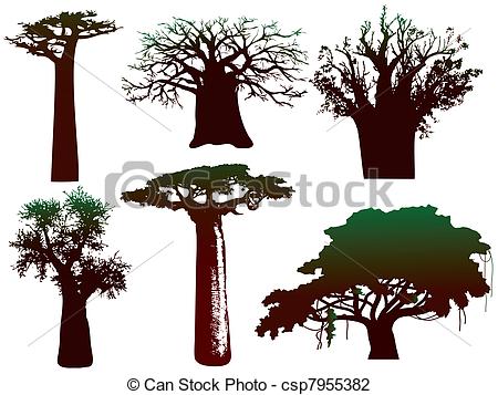 450x357 Baobab Tree Pictures Vector Illustration Various Trees