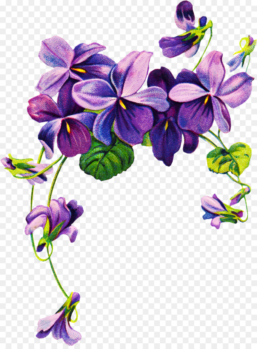 900x1220 Tattoo African Violets Drawing Clip Art