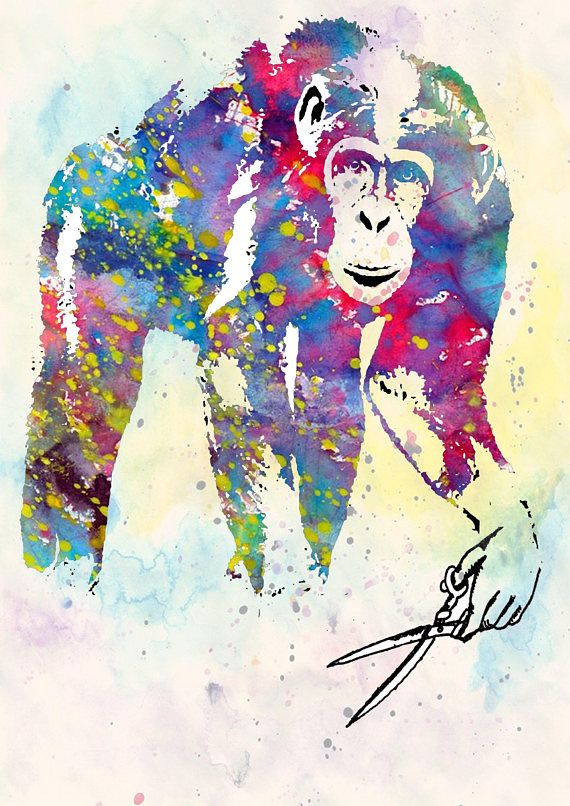 570x806 Monkey Art Africa Animals Gorilla Ape Wall Decor Wall Art Natur