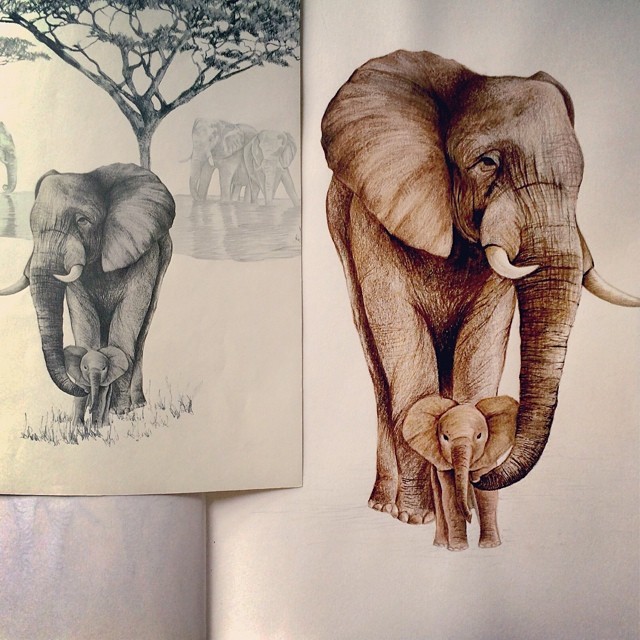 640x640 Sketchbook To Reality Once Just A Drawing Of A Mother Elephant