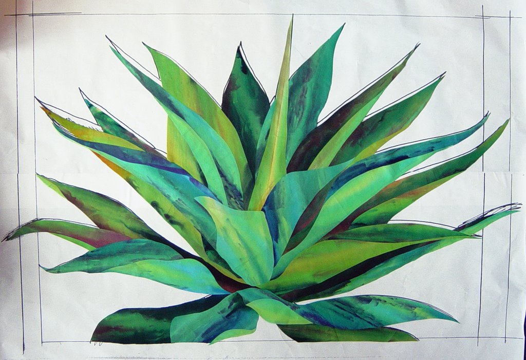 1024x701 Painted Threads Projects Agave