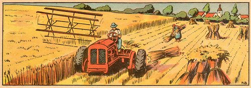 500x176 Bring Back The Horses