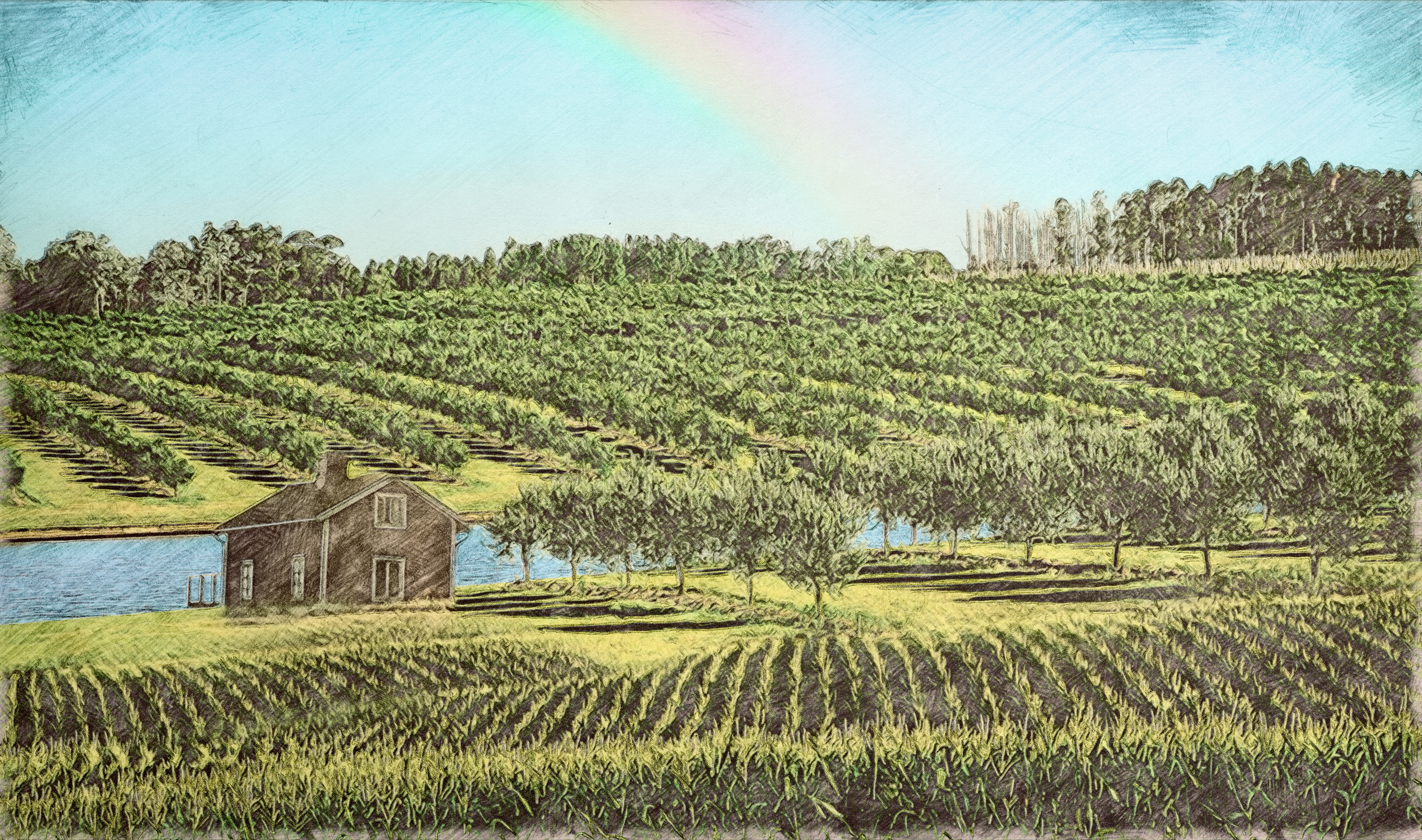 4400x2600 Eco Agriculture Color Drawing