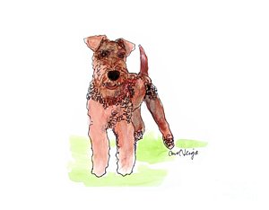 300x234 Airedale Terrier Drawings Fine Art America